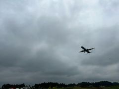 -空港花田景区