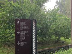 -广州神农草堂中医药博物馆