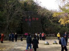 -千年银杏谷文化旅游区