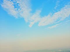 -长沙黑麋峰国家森林公园