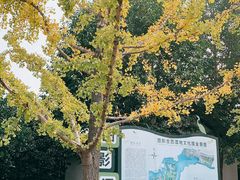 -长兴太湖图影湿地文化园