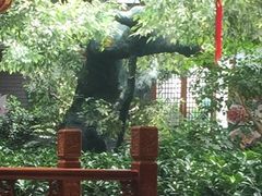 -华源足浴棋牌SPA