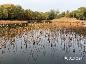 秋天的颐和园有一种特别的味道,你会忘了那是曾经的皇家