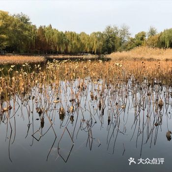 秋天的颐和园有一种特别的味道,你会忘了那是曾经的皇家