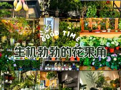 -溪岸路花鸟市场