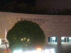 -福州海峡文化艺术中心