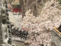 -潭柘寺景区