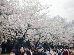 -堤角公园
