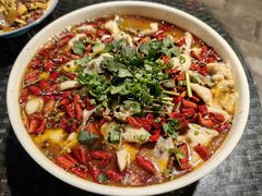酸菜鱼-朱家小厨(红塔西路店)