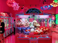 -BIG PINK大粉娃娃机主题馆(圆融星座店)
