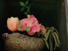 -春天来了(印象新天地店)