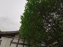 -见山书院