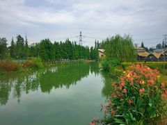 -乌村