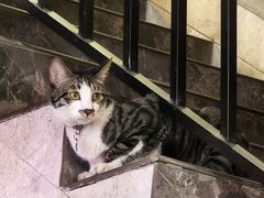 -六浦佳厨 ·地道粤菜(阳山鸡煲店)