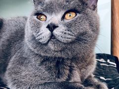 -平行世界·猫咖(首经贸店)