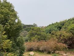 -深圳国际园林花卉博览园