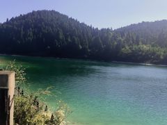 -武陵山森林公园