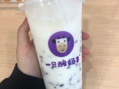 -一只酸奶牛(丹尼斯大卫城店)
