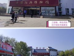 -曹州牡丹园