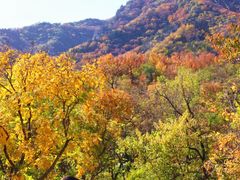 -阳台山自然风景区