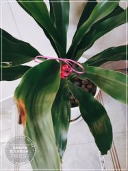 -尚艺造型.剪烫染.接发