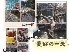 -杭州动物园
