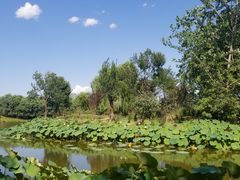 -东郊湿地公园
