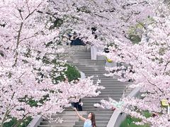-杭州少年儿童公园