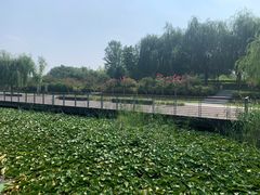 -郑东新区龙湖公共艺术中心