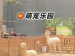 -呀路古热带植物园
