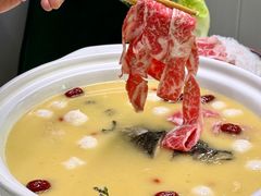 -金龙·打边炉(南京西路店)