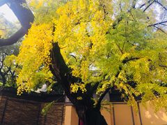 -无锡惠山寺