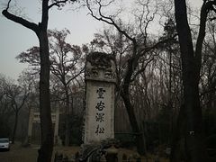 -灵谷景区