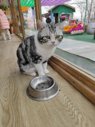 -萌宠亲子动物乐园(槐房万达店)