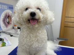 -博特宠物医院24h犬猫全科.骨科·异宠