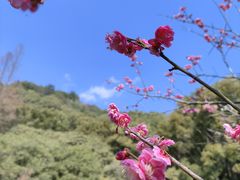 -慈城古县城景区
