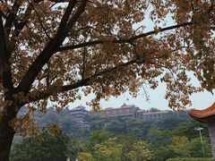 -顺峰山公园