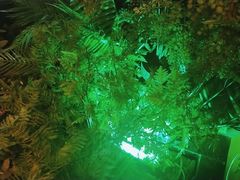 -江小渔鲜鱼火锅(西二道街店)