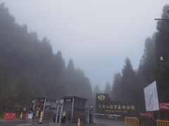 -武陵山森林公园