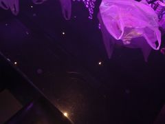-黑桃K生日订制KTV