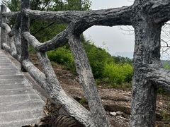 -磬锤峰森林公园