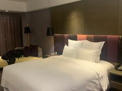 -南京禄口机场雅高铂尔曼大酒店