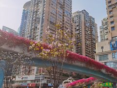-建业路(地铁站)