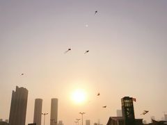-日照海滨国家森林公园