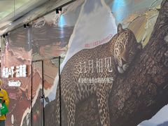 -江南环球港