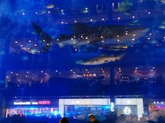 -成都浩海立方海洋公园