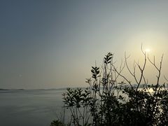 -东山风景区(洞庭东山)
