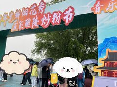 -中国陶瓷谷