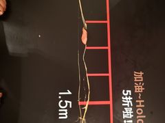 -比格比萨自助(宋家庄店)