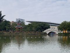 -紫马岭公园
